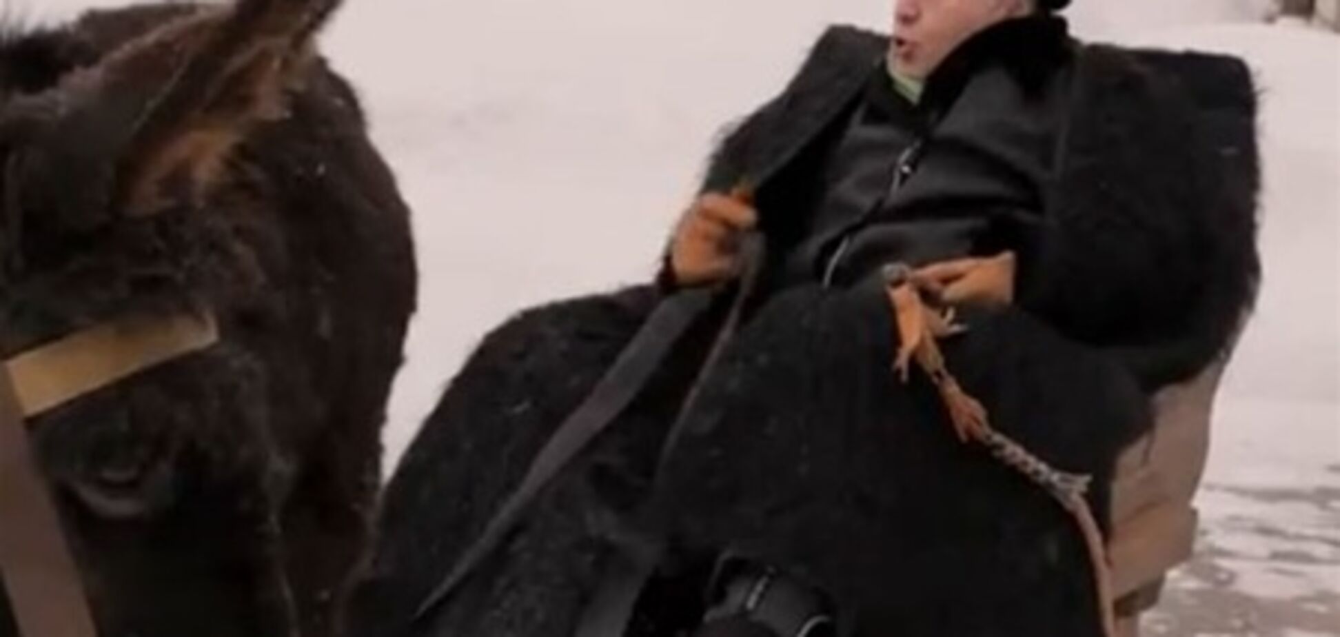 Владелец фермы 'Чудо-ослик' подал в суд на Жириновского