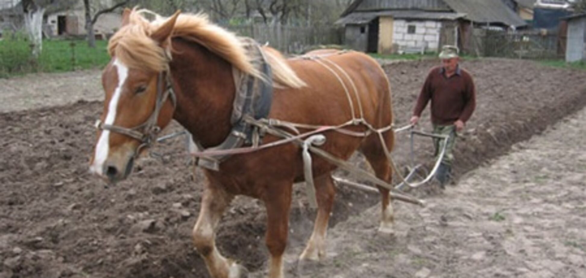 Земельный кодекс Украины глобально изменят?