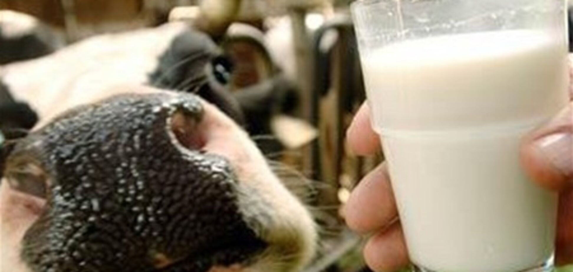 В Украине есть мясо-молочный запас