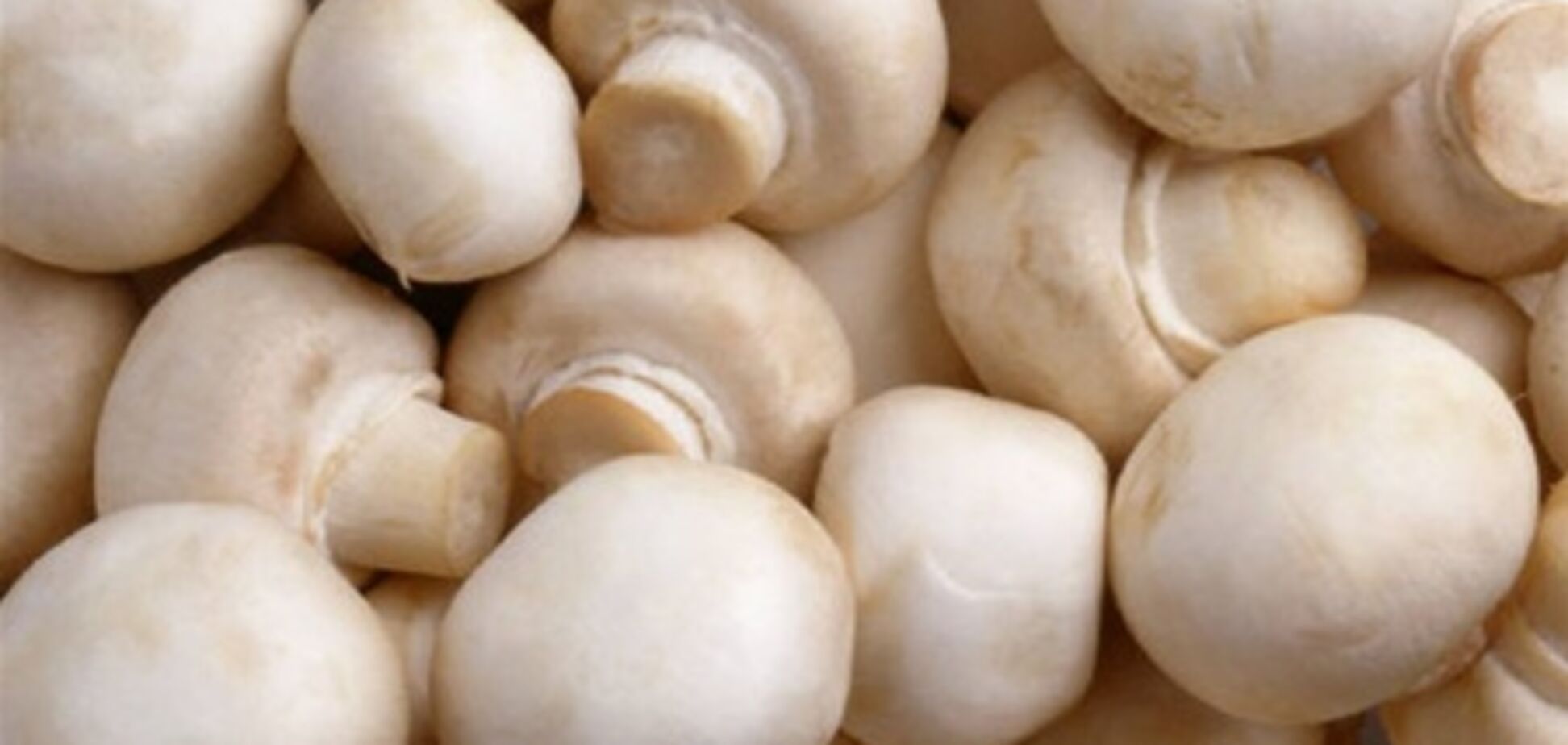 Украинцам шампиньоны будут не по карману