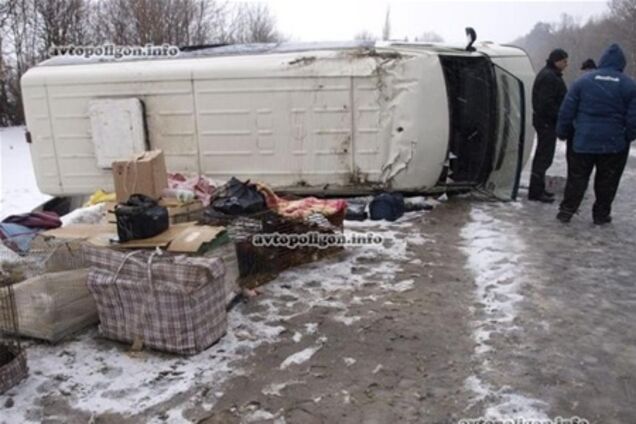 Зоо-ДТП на Тернопольщине: перевернулся автобус с павлинами. Фото   