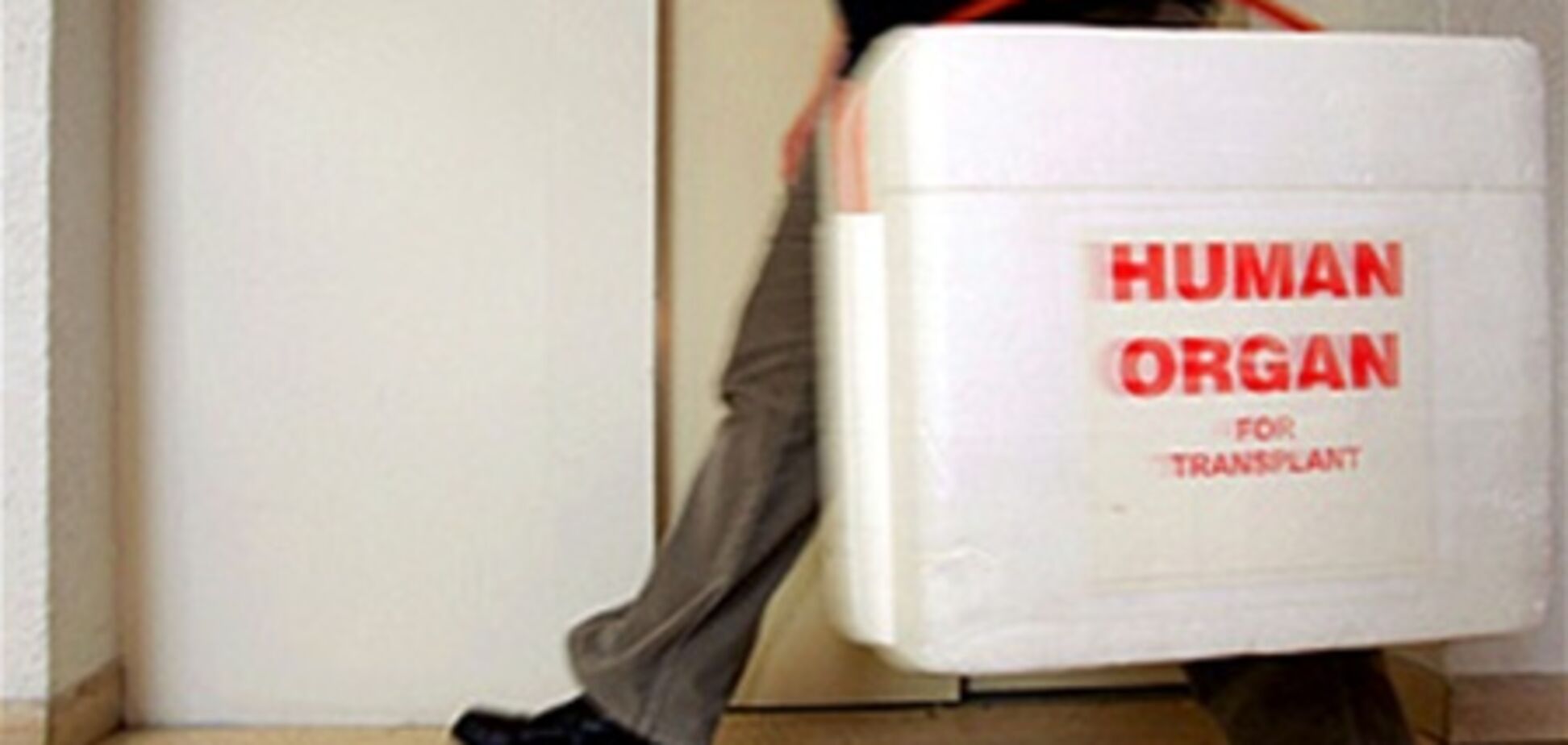 Під Миколаєвом затримали вантажівку з людськими органами