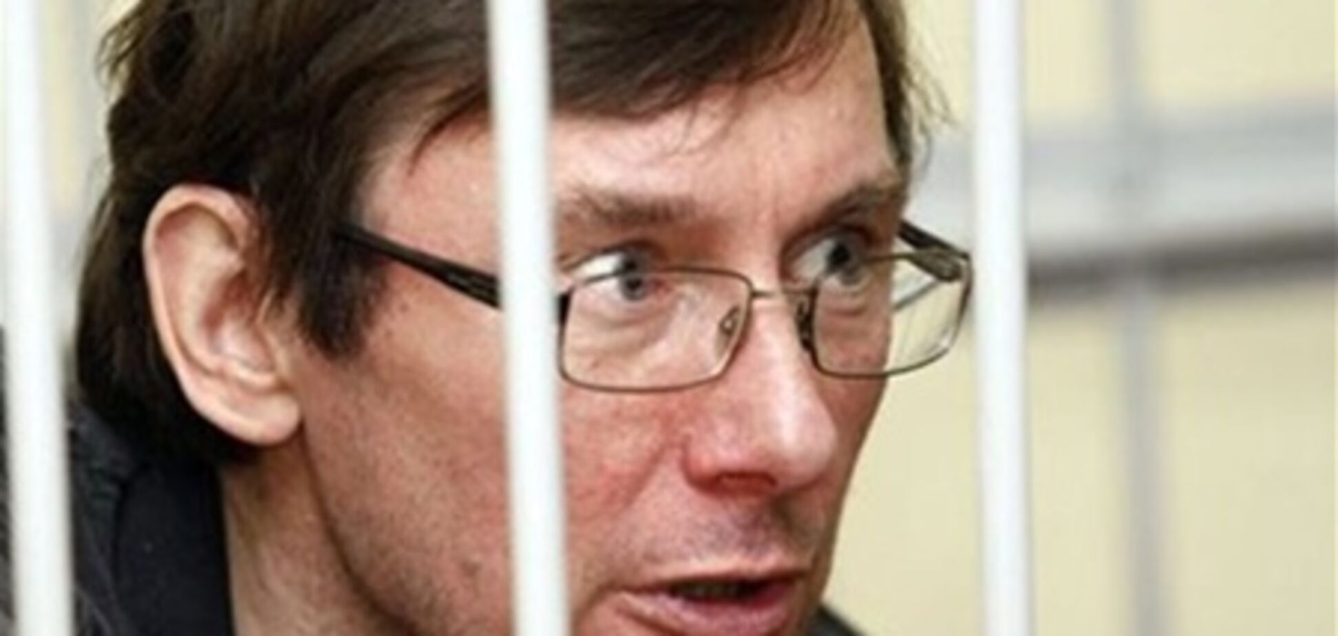 МИД Франции и Чехии обеспокоены приговором Луценко