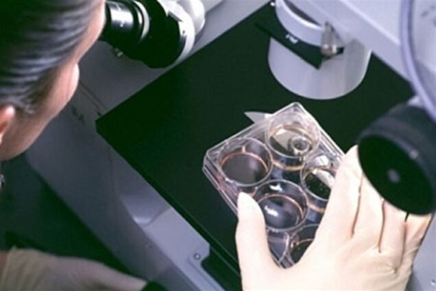 Украина встревожена новым европейским вирусом