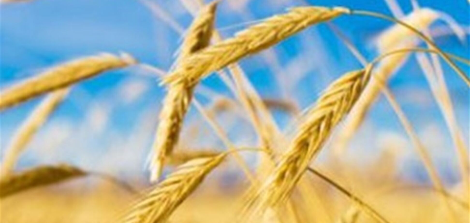 Присяжнюк: проблем с Ираном у нас нет