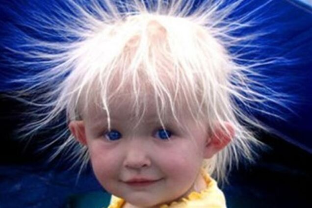 Самые смешные шутки в мире