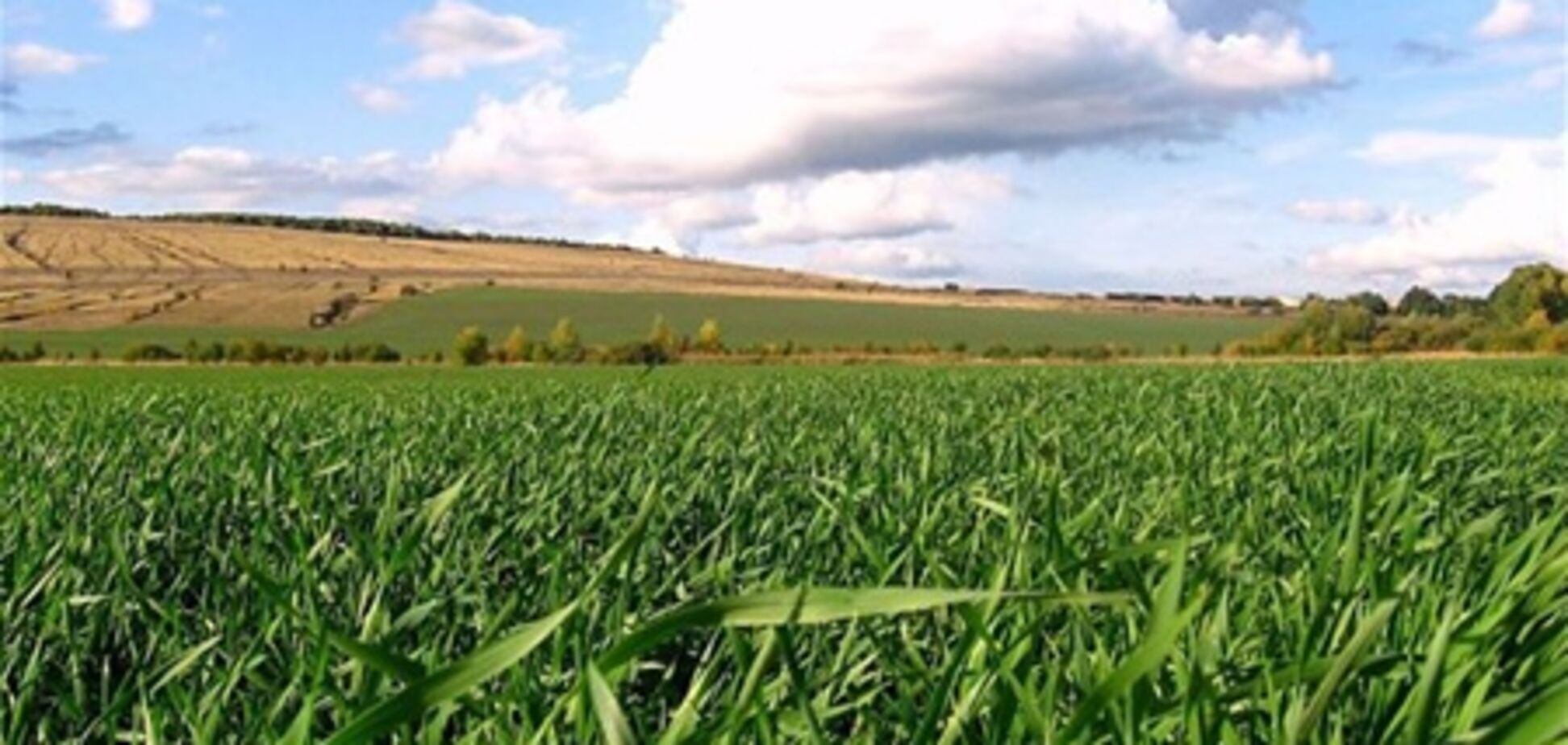 Влияние погоды на посевы ежедневно отслеживается – минагропролитики