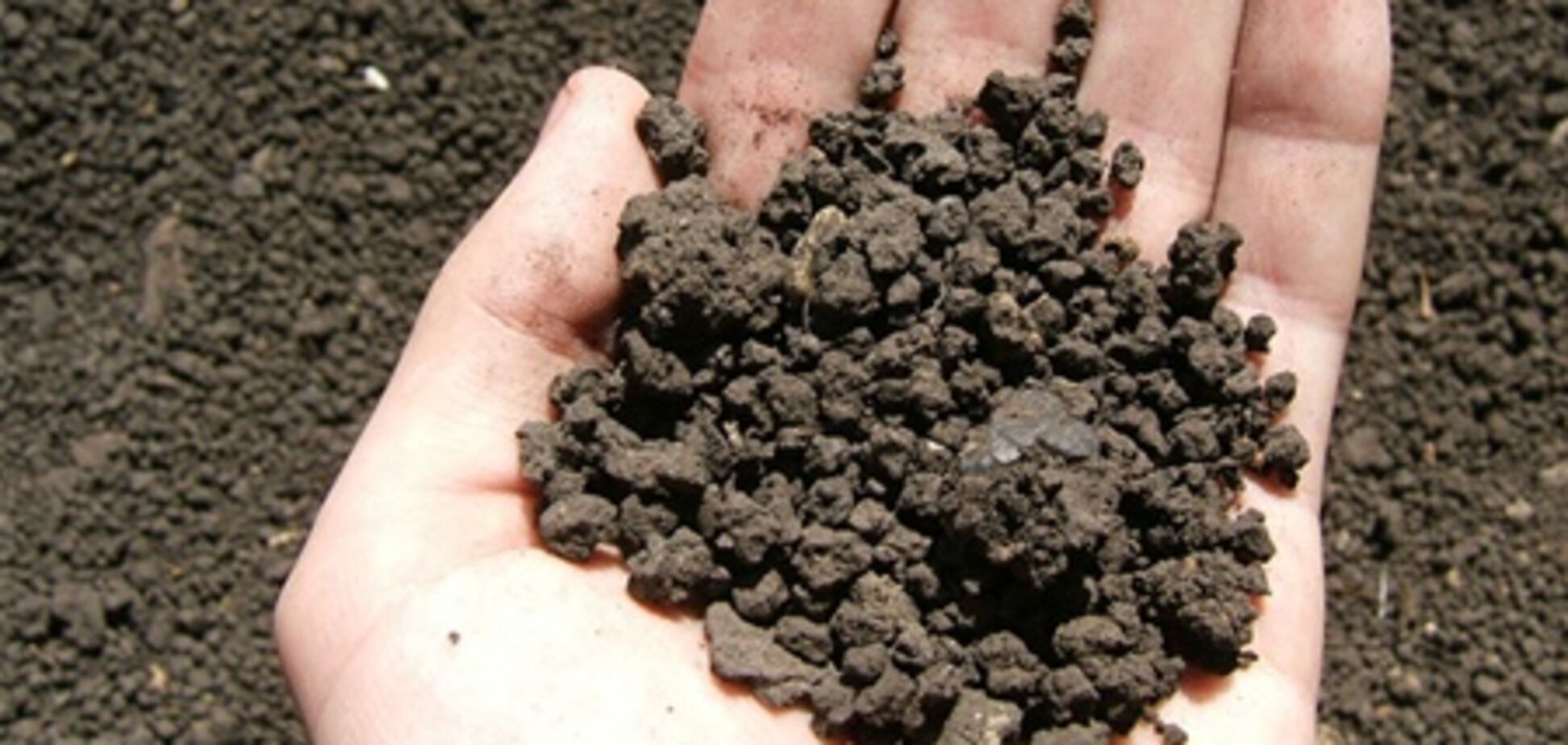 Часть земель станет объектами рынка