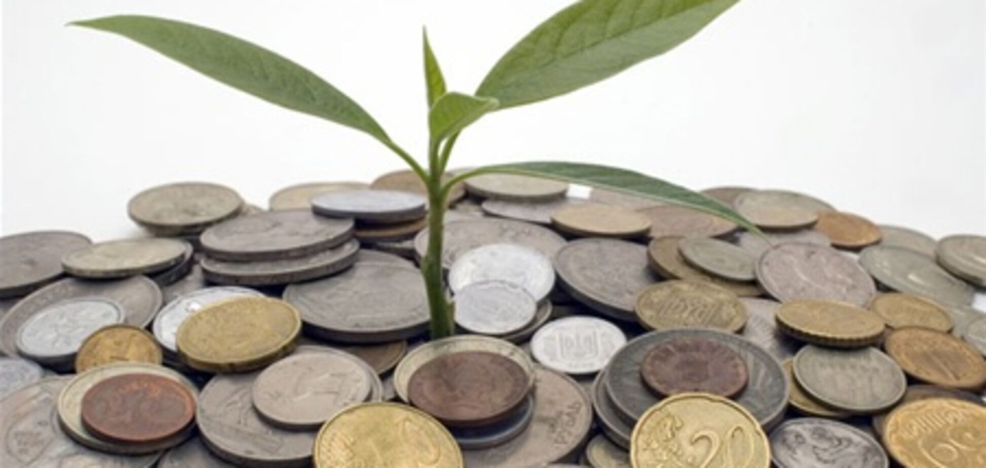 Яременко: инвестмонеты вредят экономике