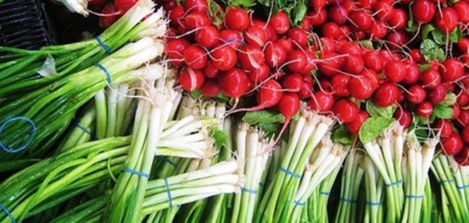 Заниженые цены на 'ранние овощи' не дадут заработать производителям