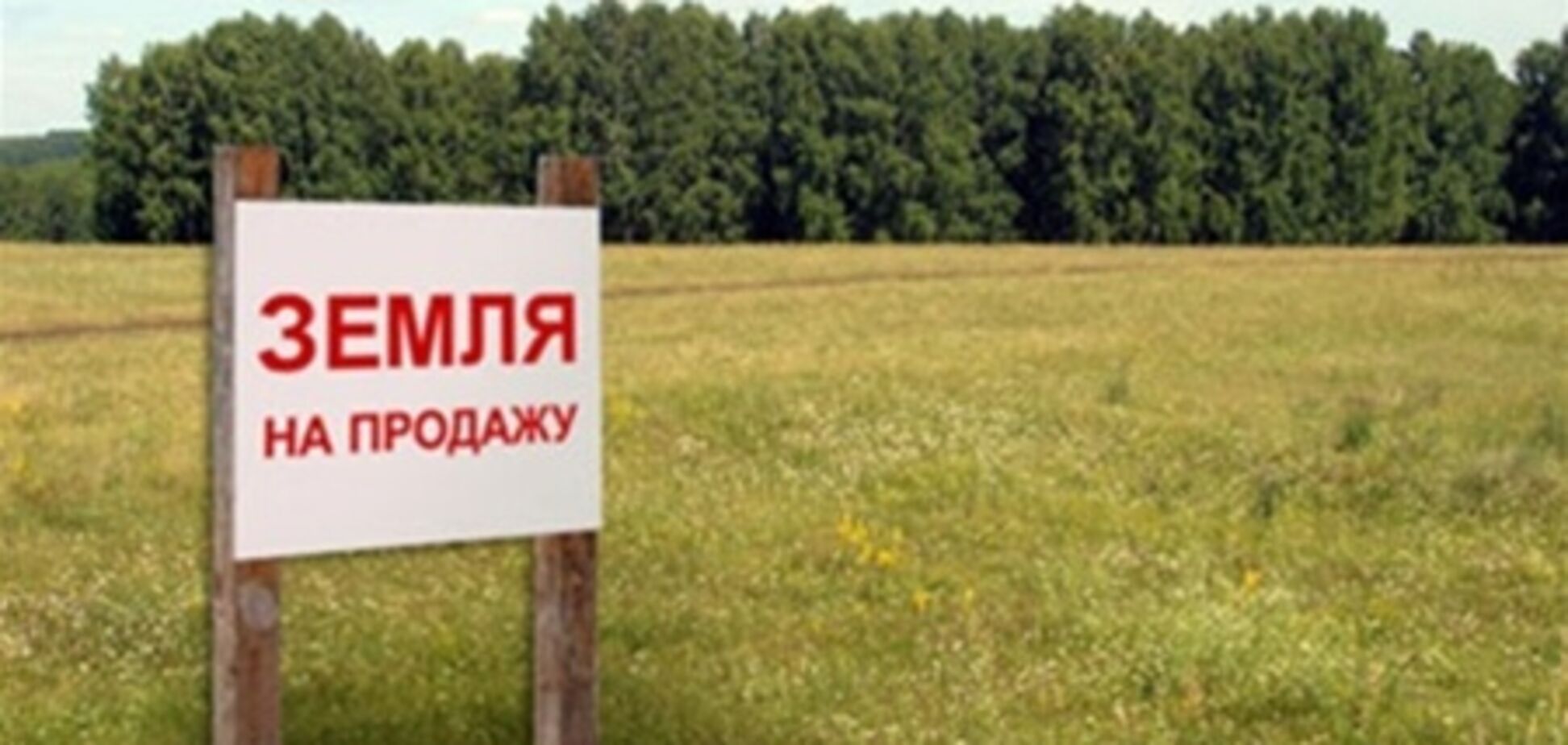 Гектар украинской земли оценили в 6 тыс. долларов