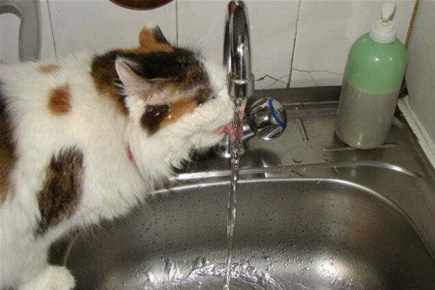 С 1 марта в Киеве  повысились тарифы на воду