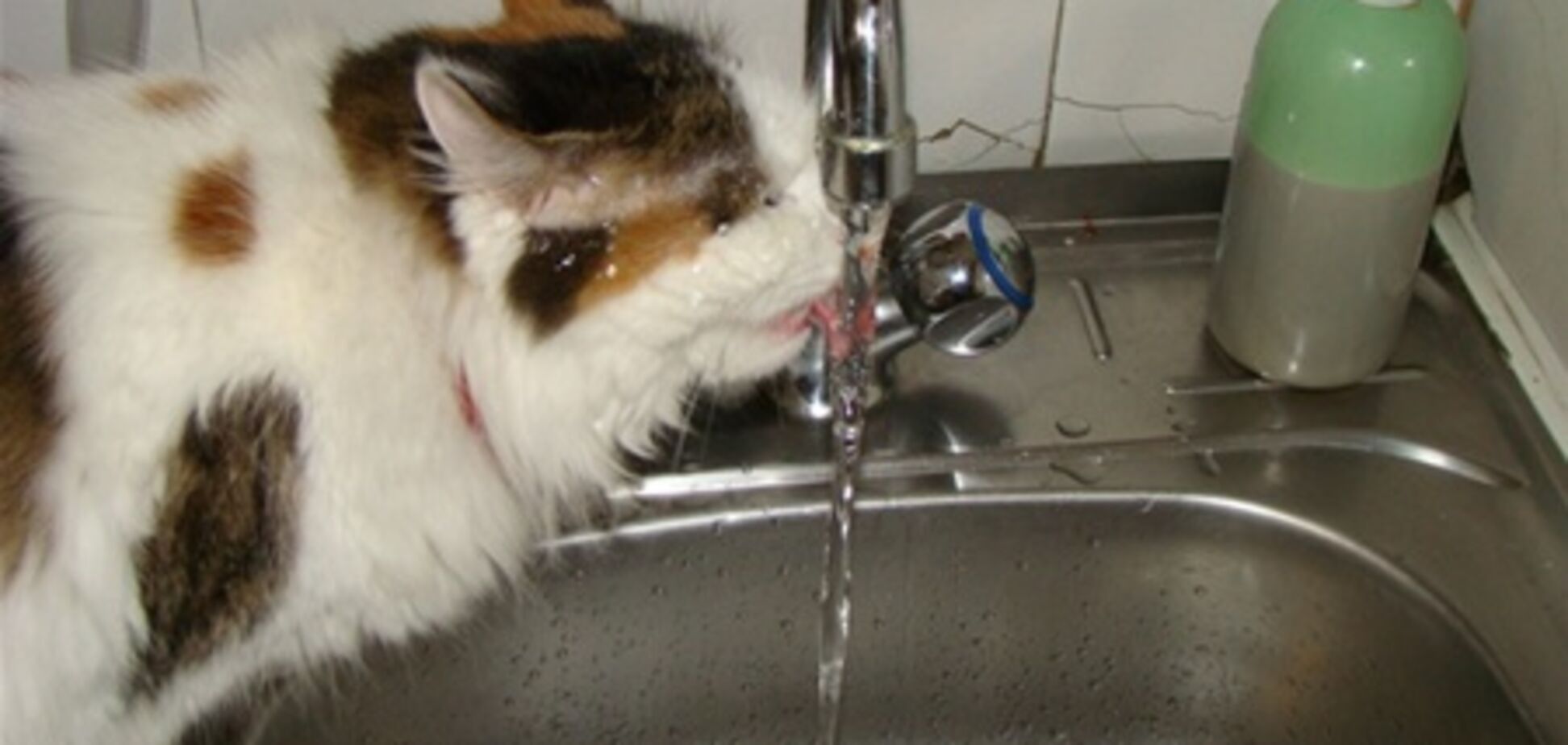 С 1 марта в Киеве повысились тарифы на воду