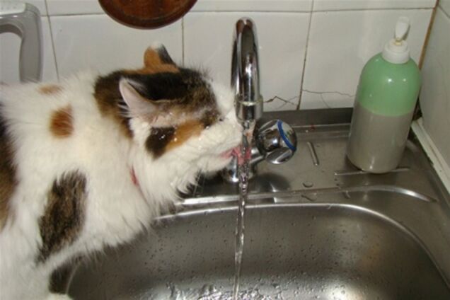 В Украине тарифы на воду повысили на 7,8%