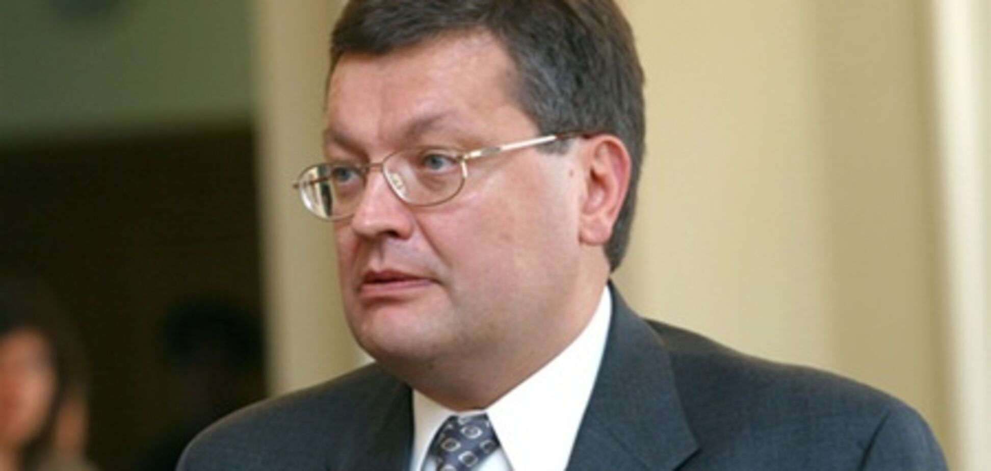 Грищенко: Украине нужно брать пример с Турции и Польши