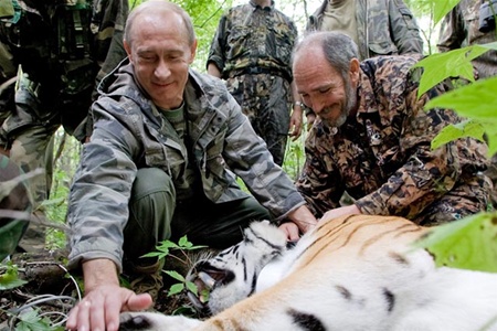 Ради Путина замучили тигрицу?