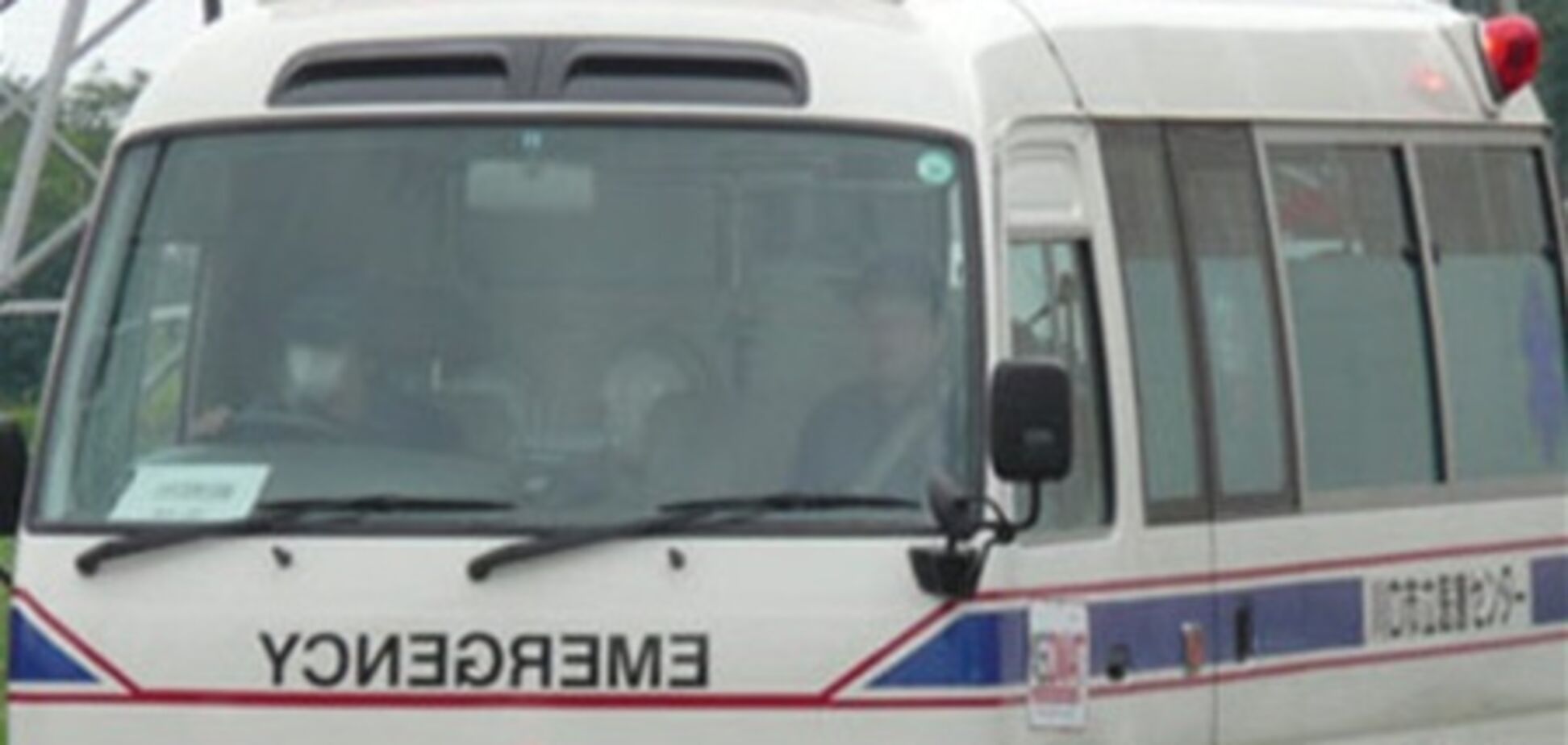 ДТП в Японії: постраждали 30 дітей