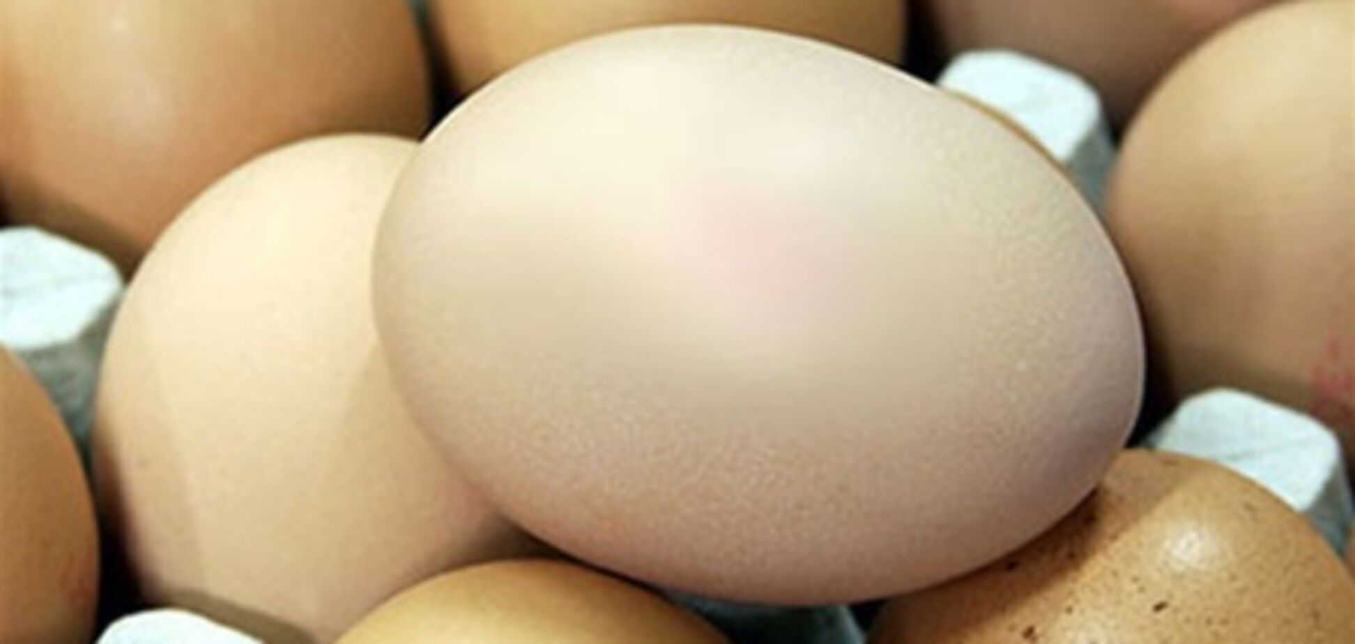 Ученые поделили куриные яйца на полезные и опасные