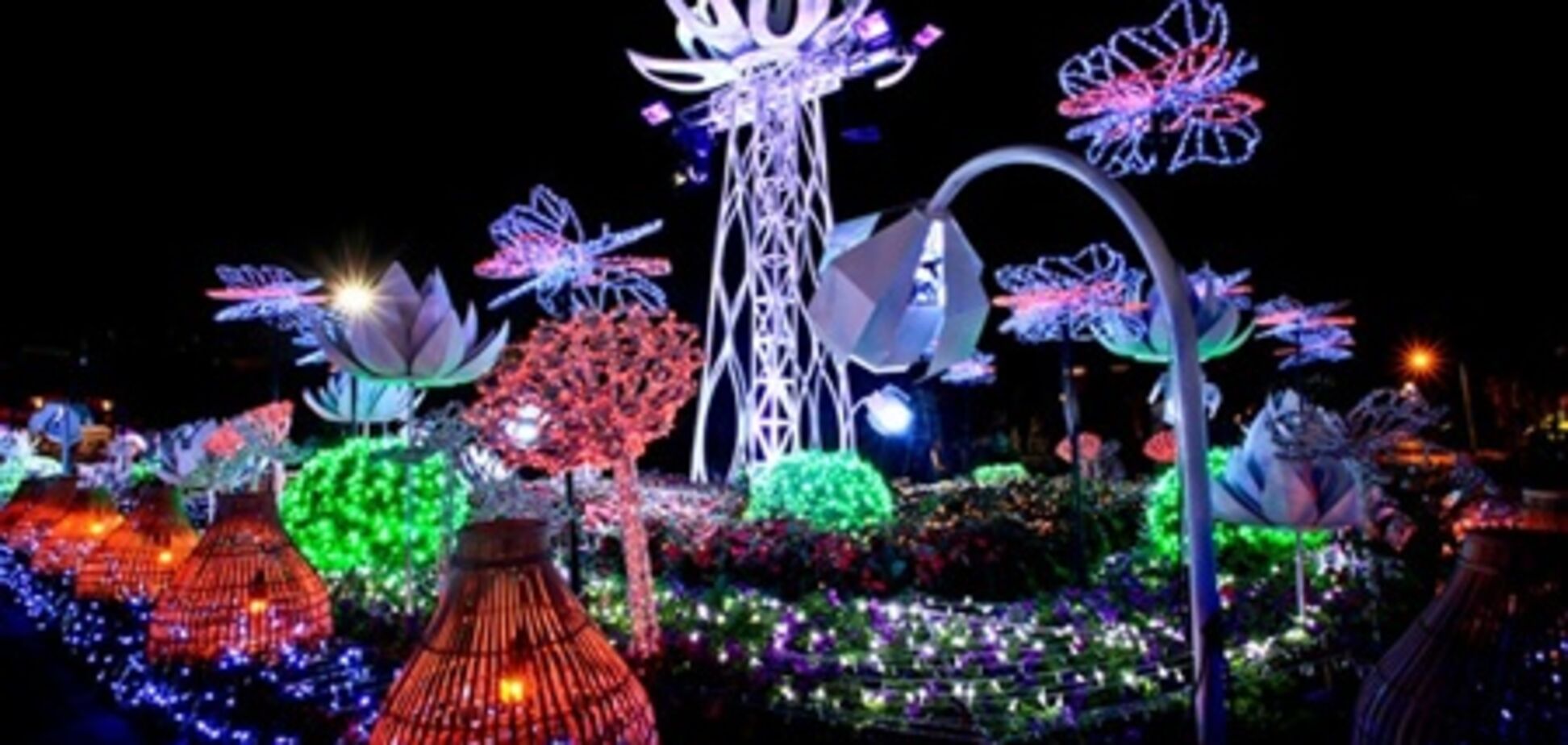 В Бангкоке «расцвели» электрические цветы. Фото