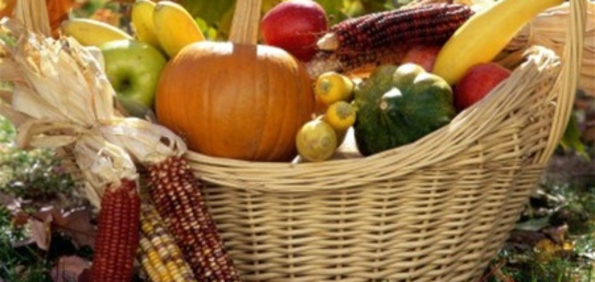 Аграрии опаздывают с весенне-полевыми работами