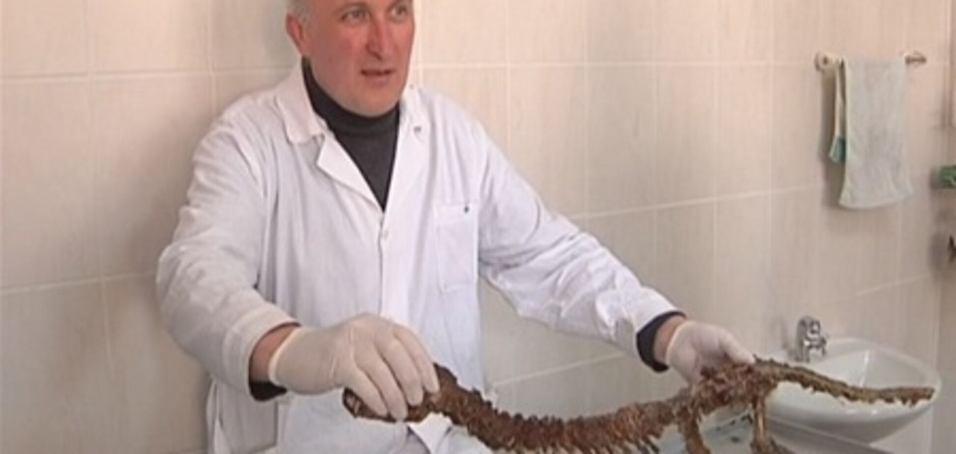 У Дніпропетровську знайшли чупакабру? Фото, відео