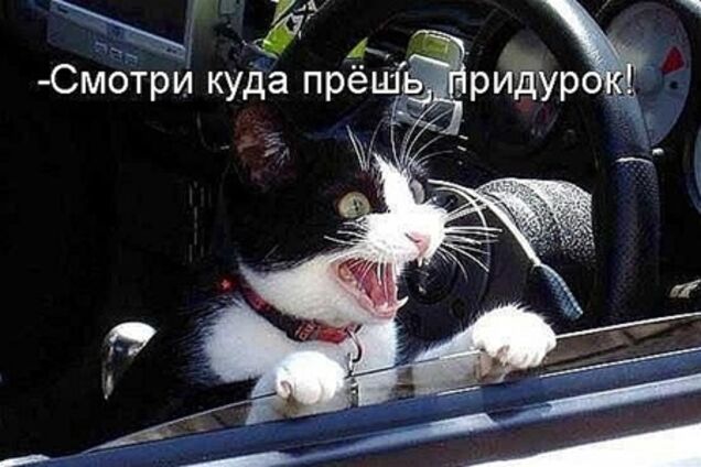 Составлен портрет типичного украинского водителя-нарушителя  