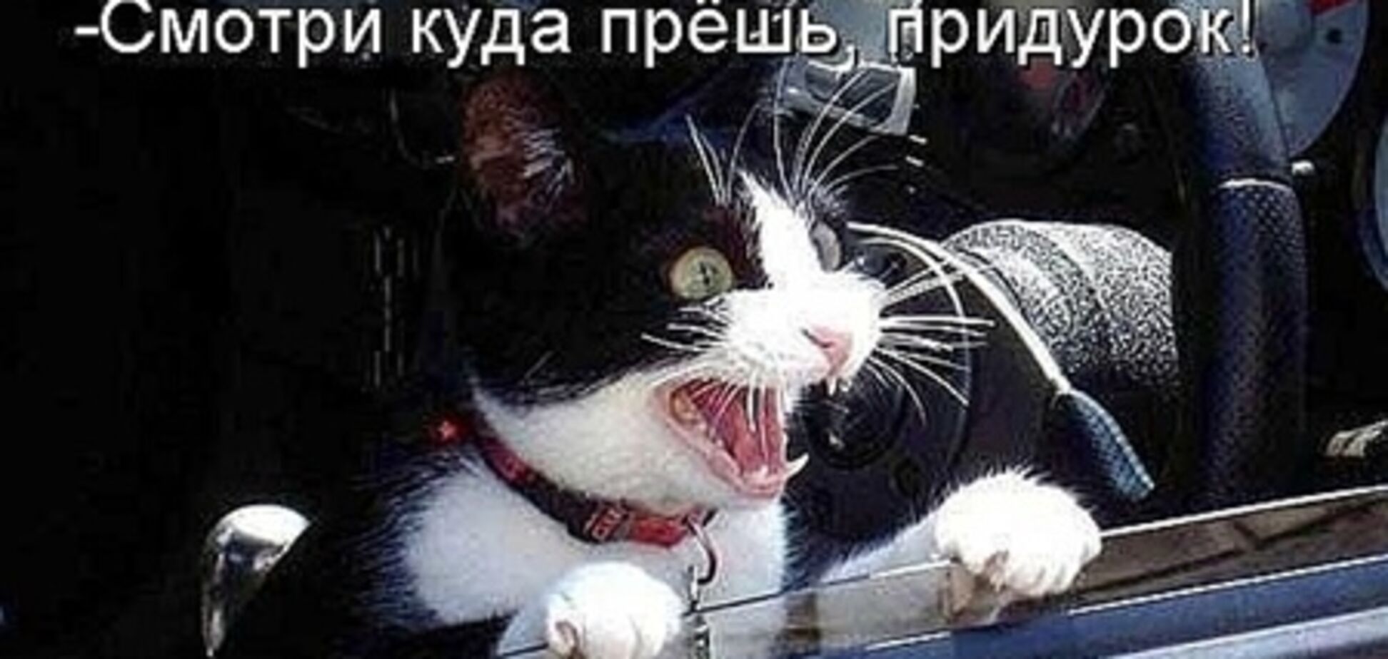 Составлен портрет типичного украинского водителя-нарушителя