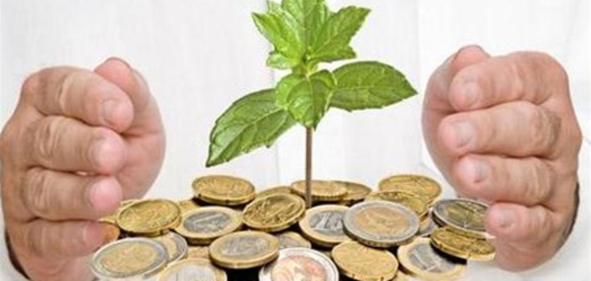 Деньги лучше сохранять в гривне и золоте