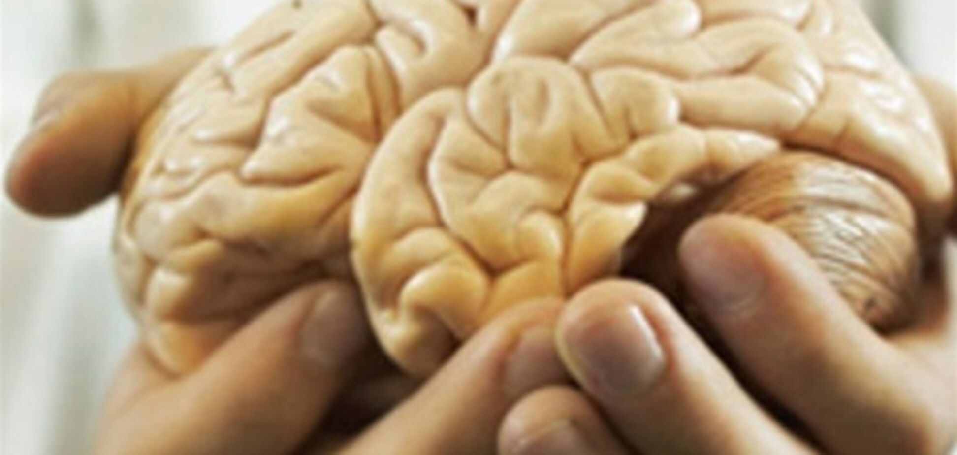 Мозг человека резко похудел