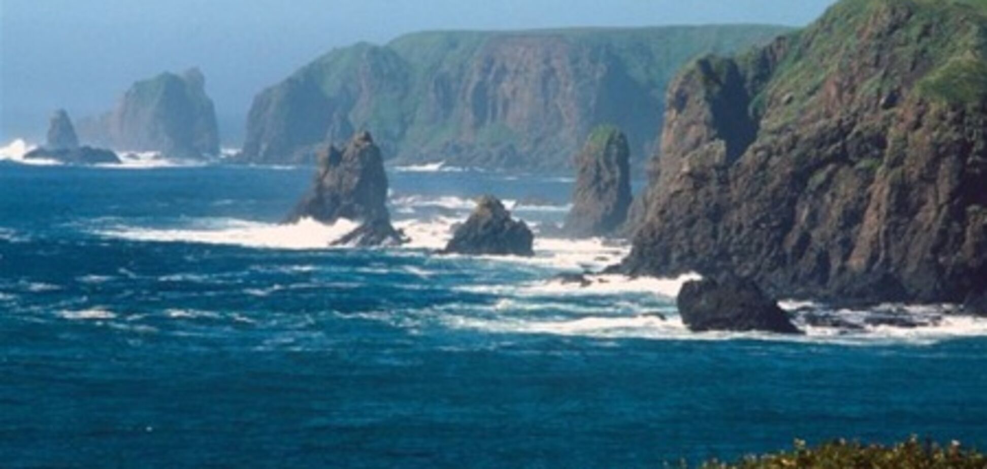 Япония настаивает на возвращении четырех Курильских островов