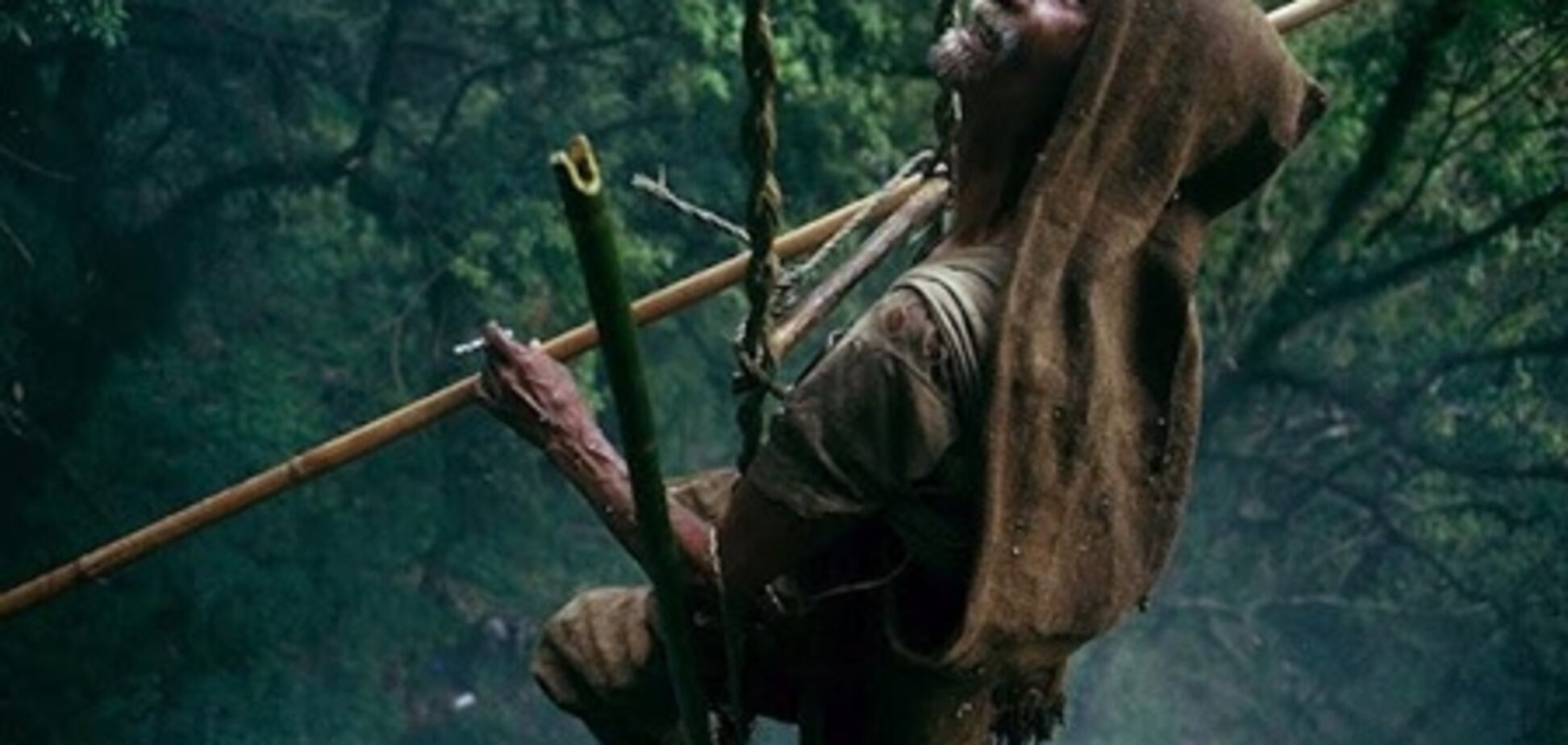 Как собирают мед в Непале