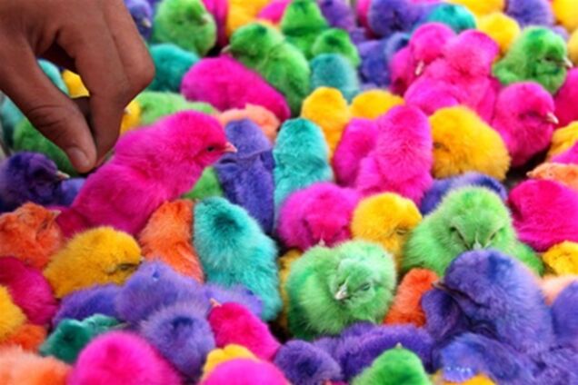 Страсна Седмиця і Великдень 2012