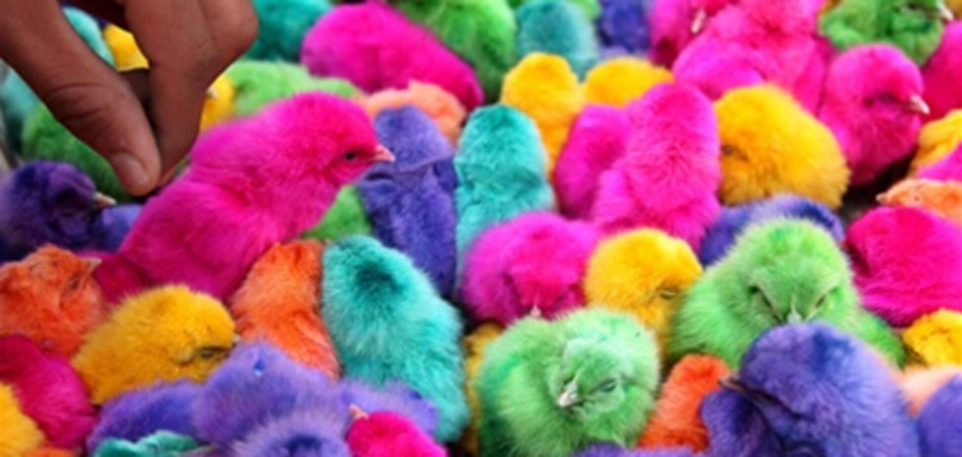 Страсна Седмиця і Великдень 2012