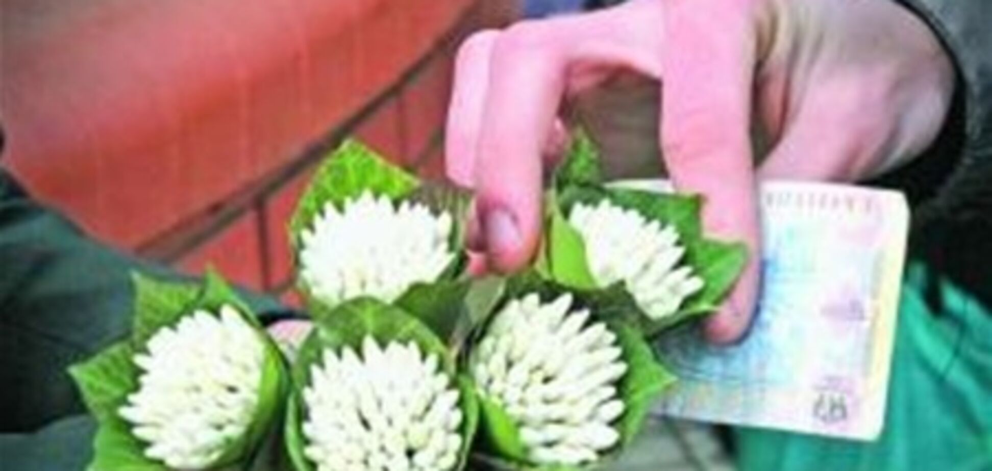 Закон України 'Про охорону навколишнього природного середовища'