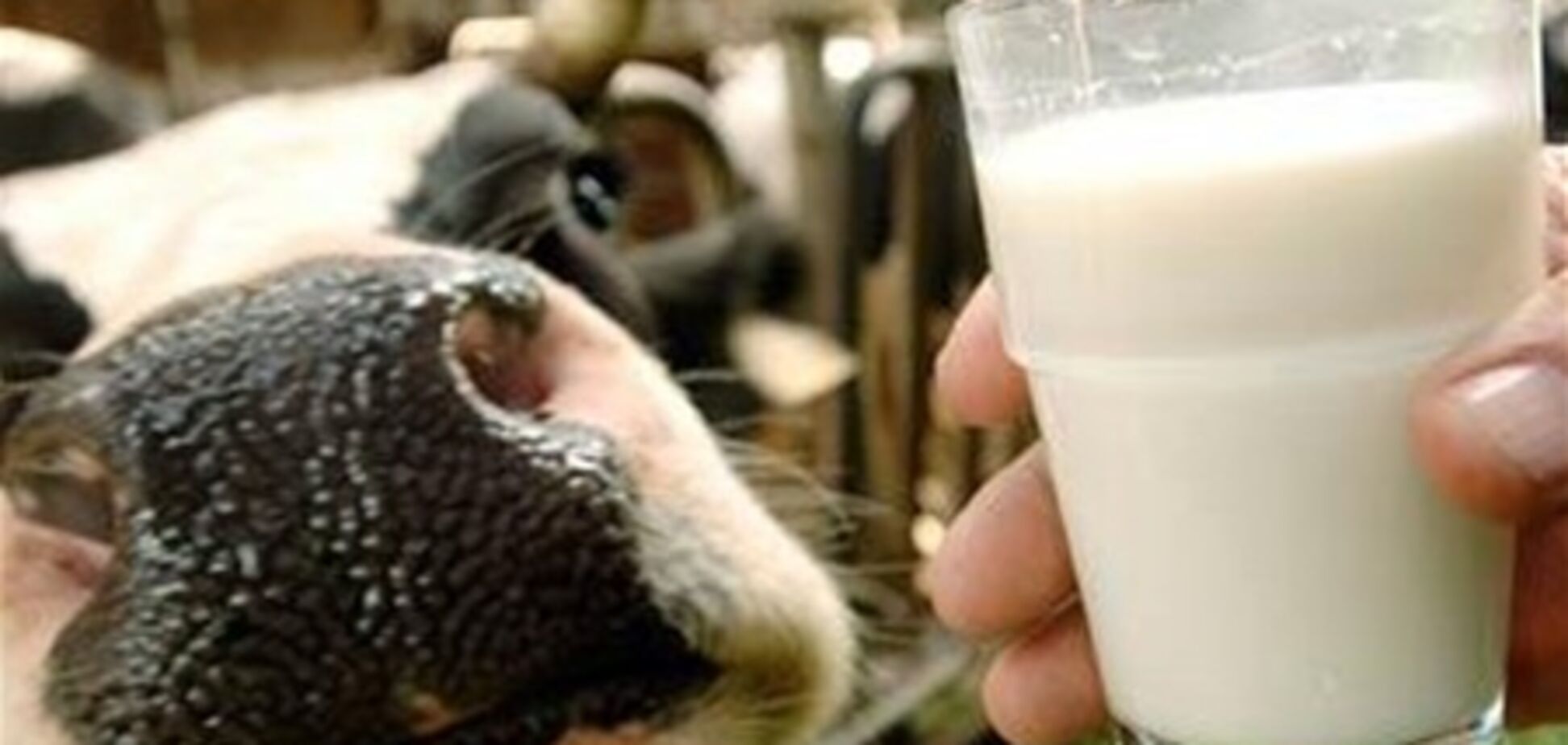 Украинские молочники готовятся к кризису