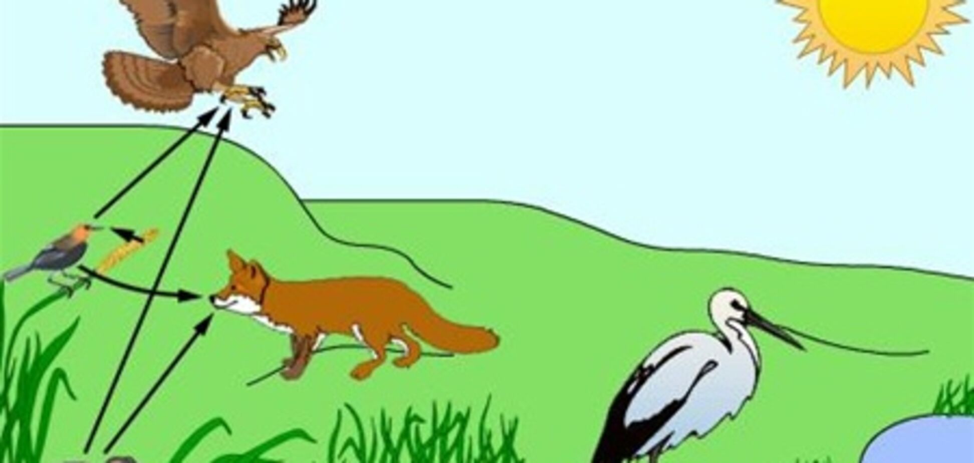 Фактори середовища проживання