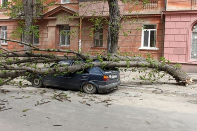 В Крыму ураган валит деревья и крушит автомобили
