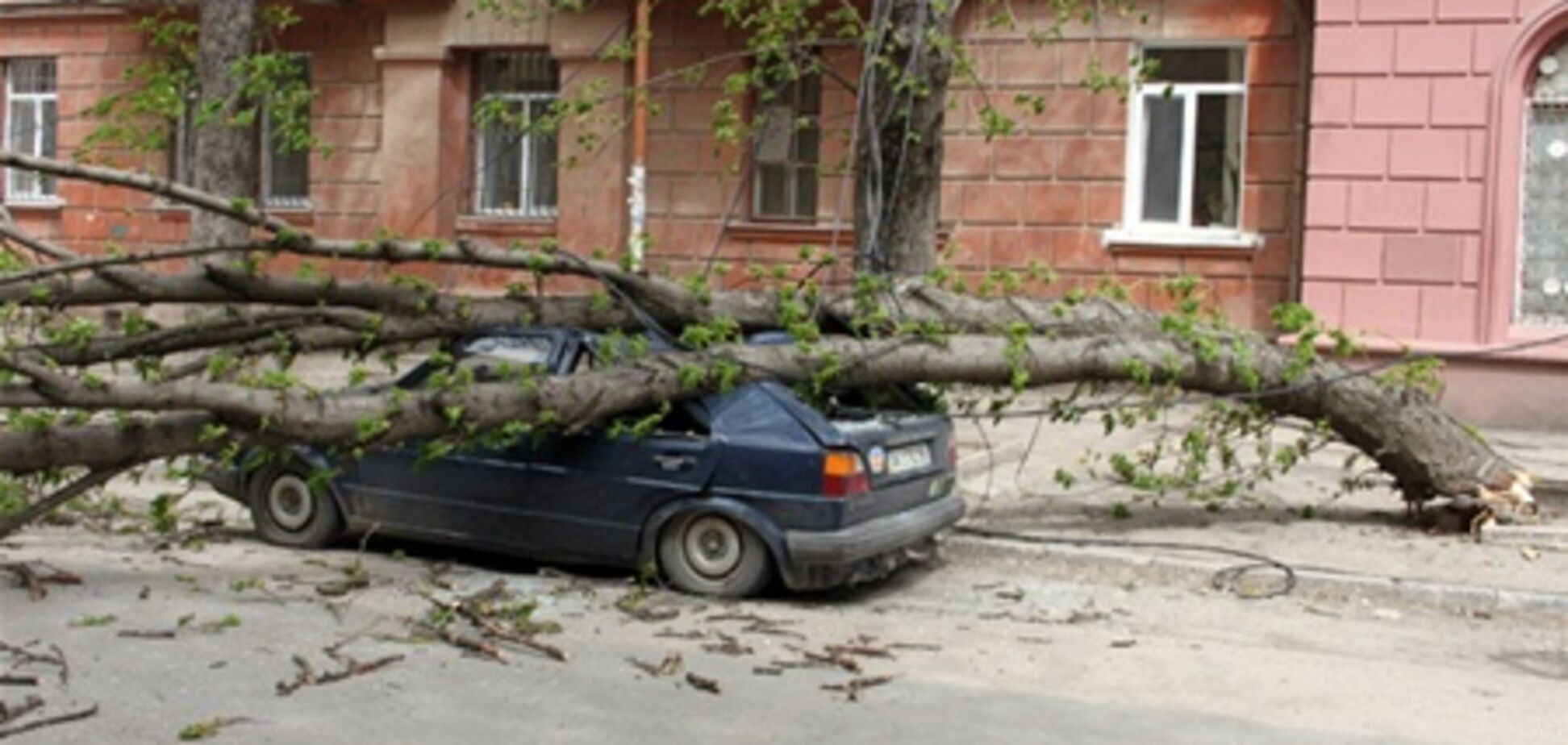 У Криму ураган валить дерева і трощить автомобілі