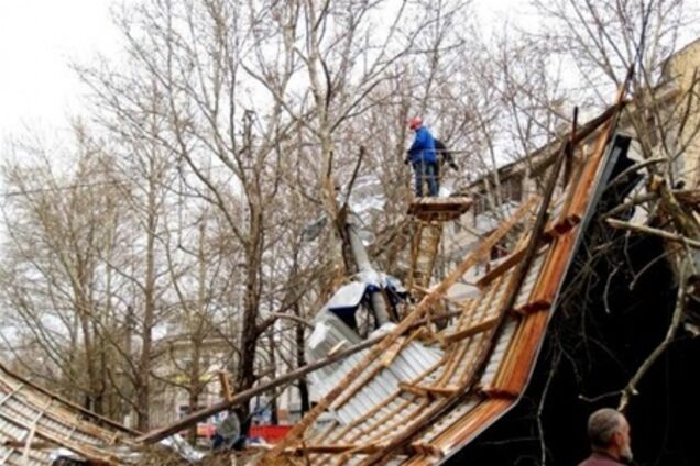 В Крыму сильный ветер валит деревья прямо на людей