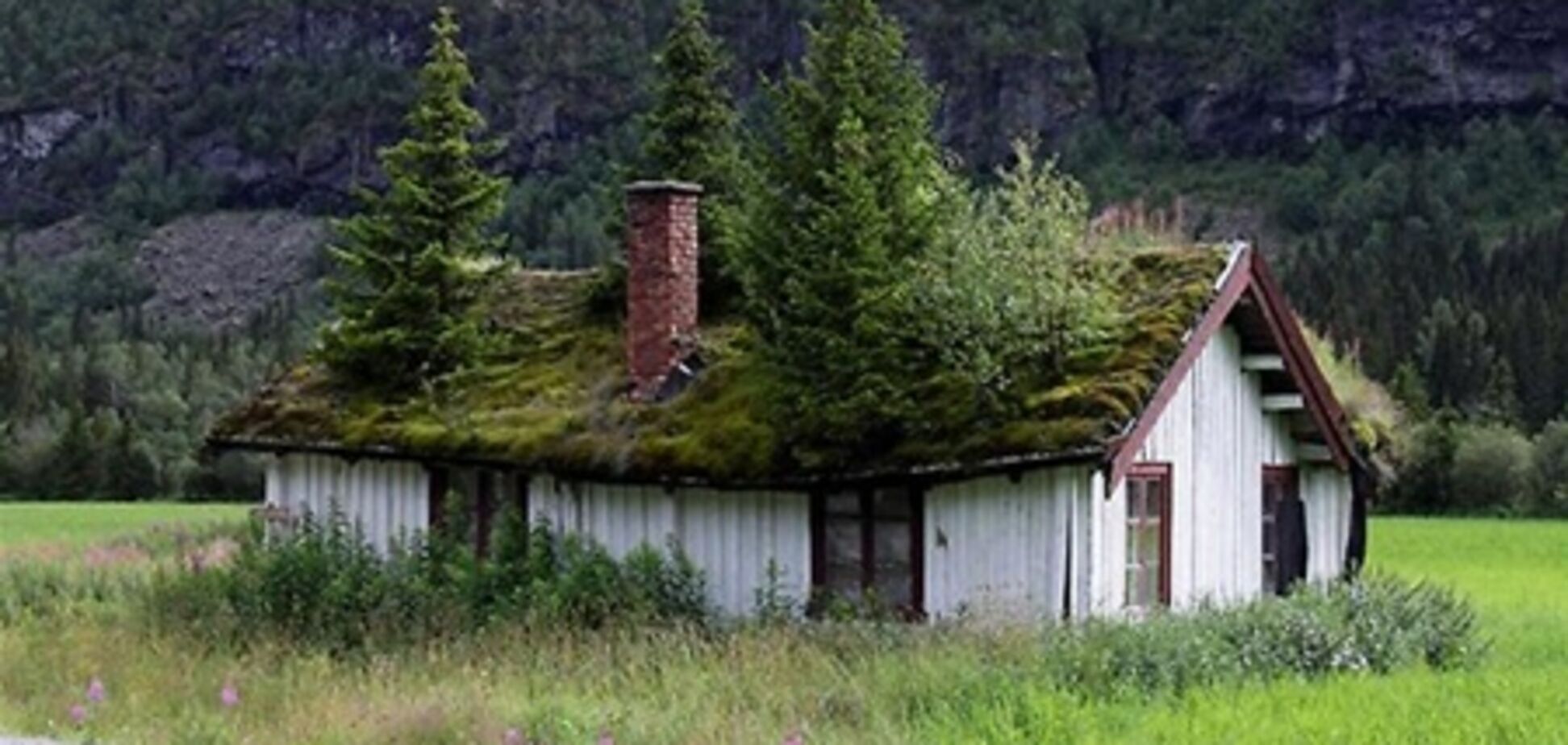 Влітку Москва обзаведеться зеленими дахами