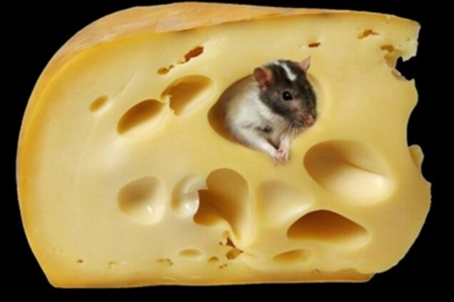 Сырные войны: неужели перемирие?