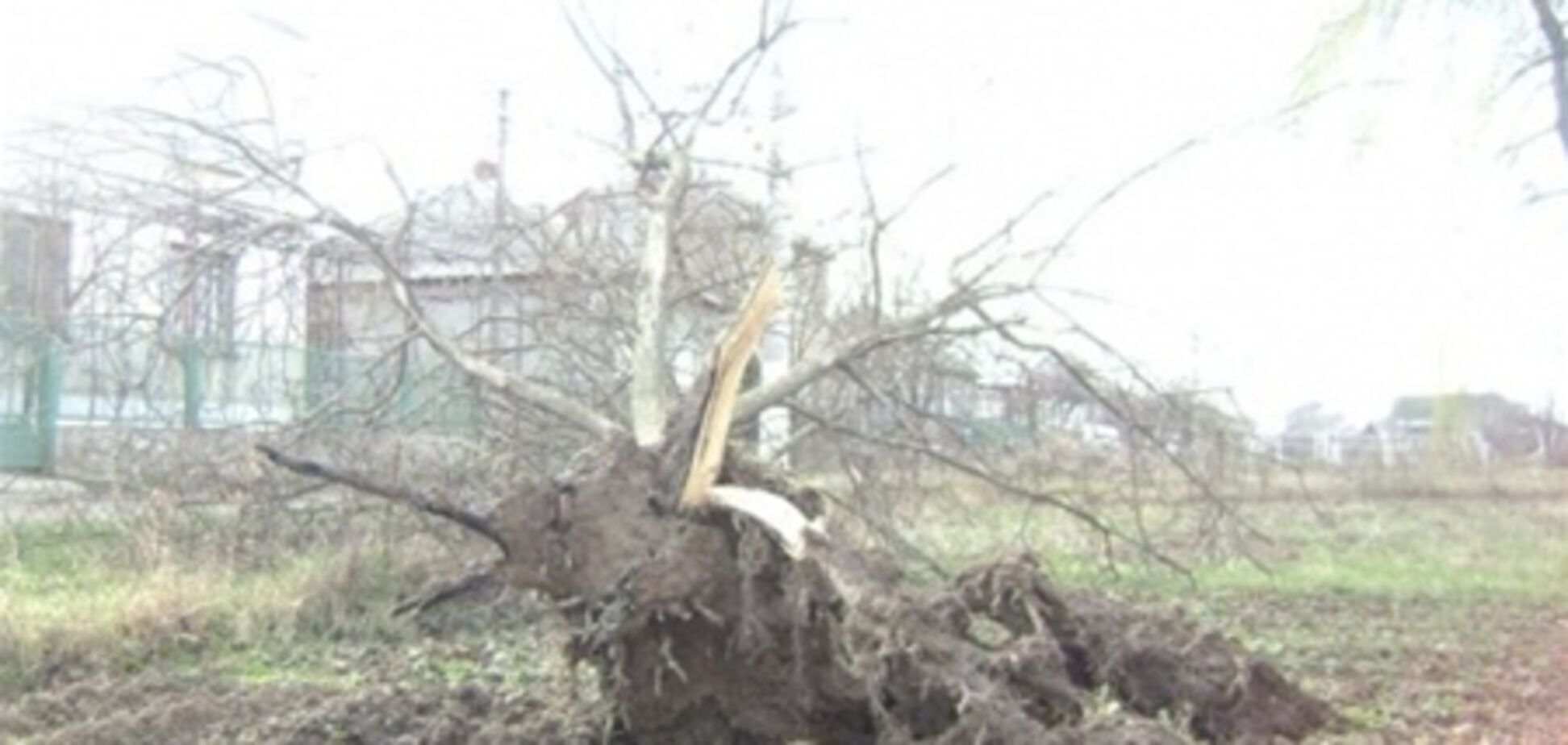 На Закарпатье ураган сносил крыши домов. Фото