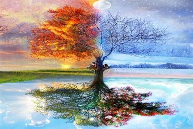 Топ-10. Мировые события за неделю