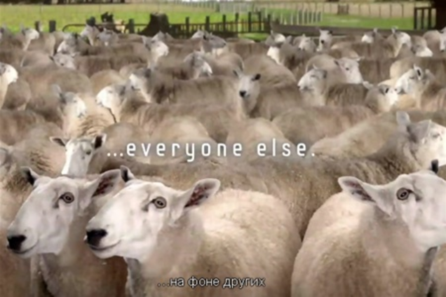 Samsung сравнил пользователей смартфонов с овцами. Видео   