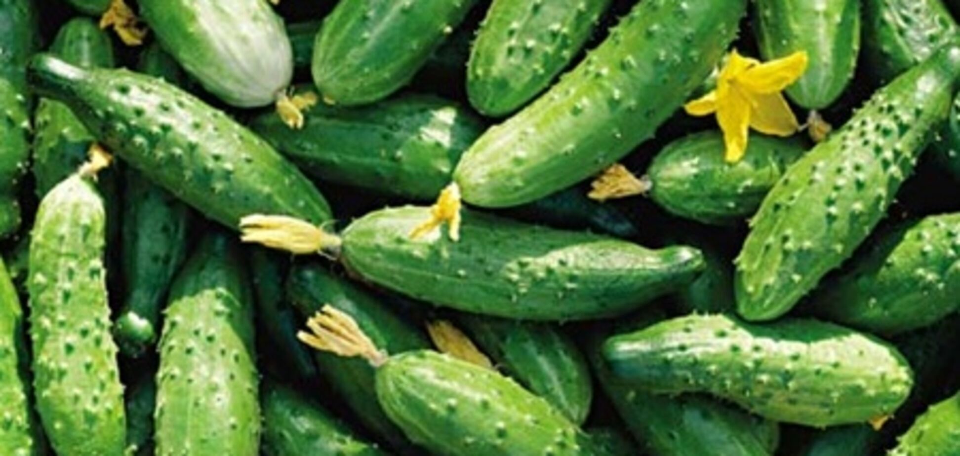 Россия объявила 'войну' украинским огурцам и помидорам