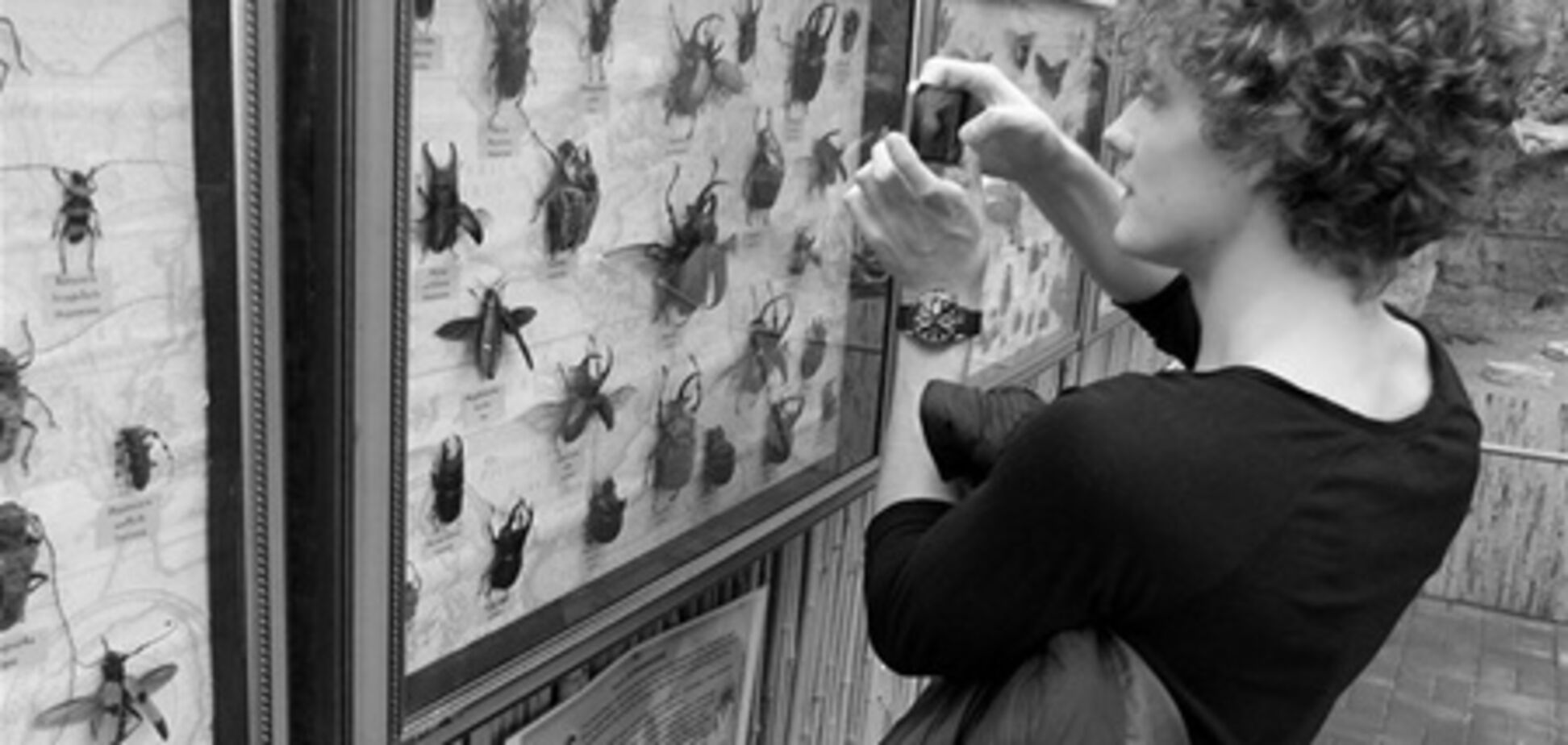 Алексей Матиас проводит выходные с… жуками!