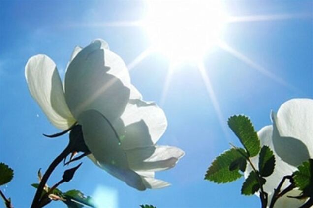 Украинцев порадует летняя погода