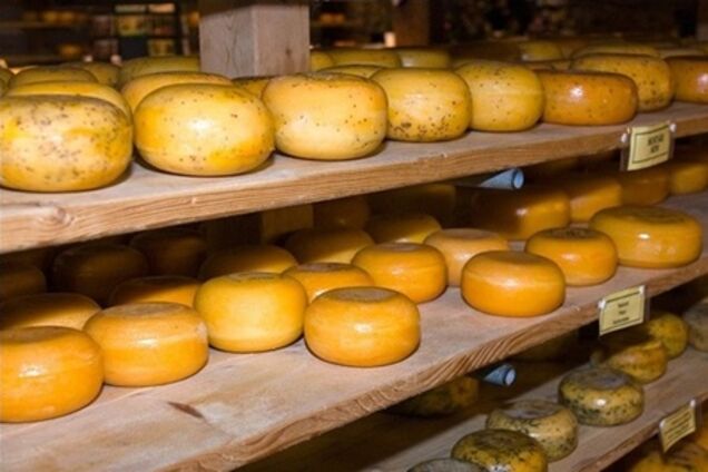 Поставки сыра в Россию не возобновлены по вине Украины - Онищенко