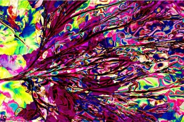 Как выглядит алкоголь под микроскопом. Фото. Видео