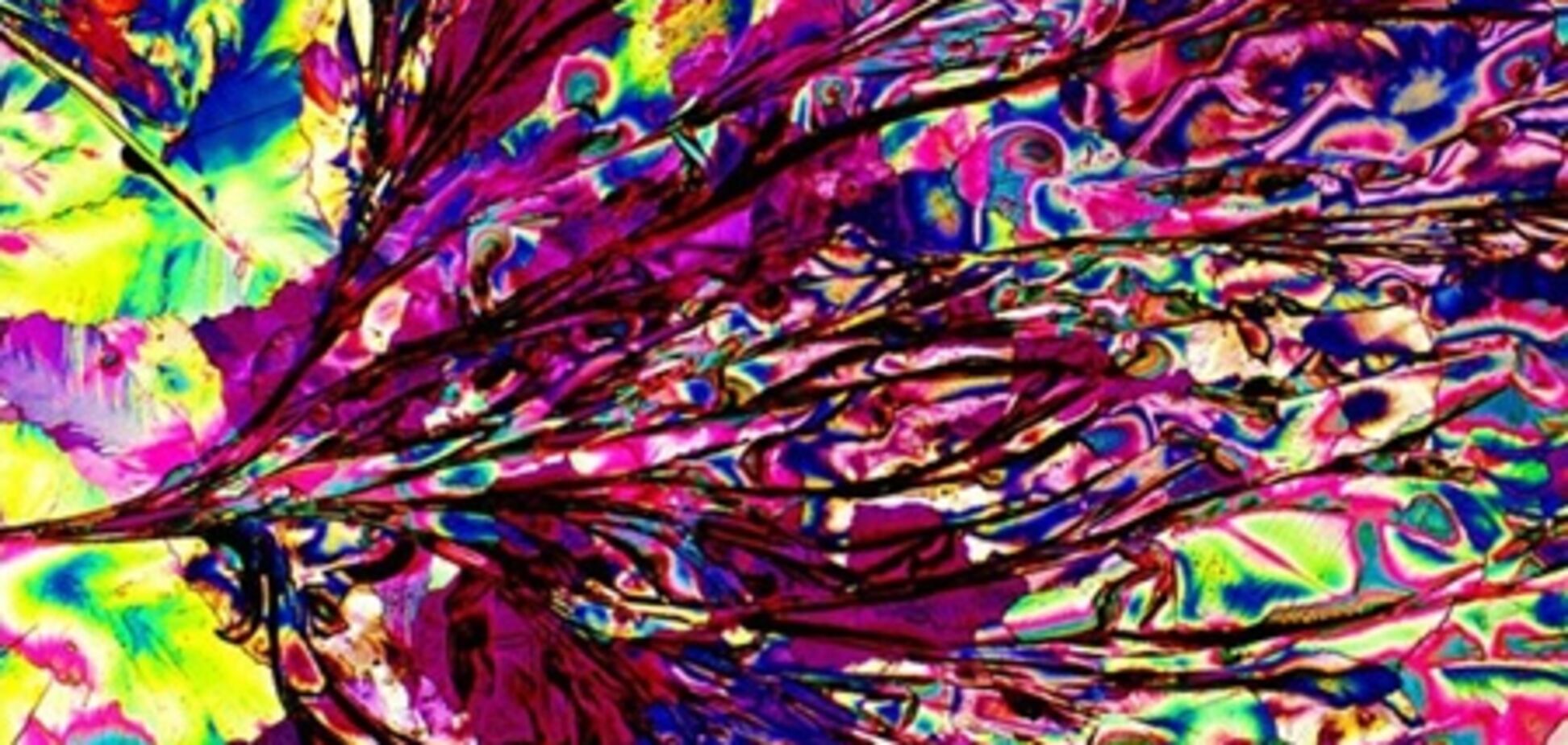 Как выглядит алкоголь под микроскопом. Фото. Видео